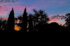 August_2019_Soirée-détendue_IMG_4514