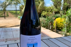 Eigener-Wein_2eb67799-92fe-4777-8ad4-de9a91279030