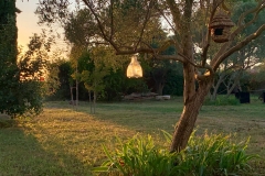 Juli_2019_Gartenimpression_IMG_4408