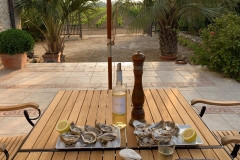 Juli_2019_IMG_4309