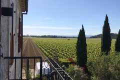 La_Broutte-Mai-2019_Blick-über-Weinberge