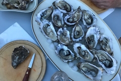 La_Broutte_Terrasse_huitres_1