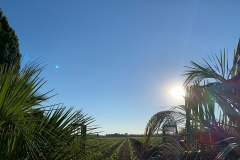 La_Broutte_blick_übers-Feld