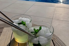 Mojito_IMG_5600