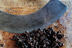 Tapenade_IMG_1528